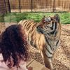 Land of the Tiger at Chessington World of Adventures